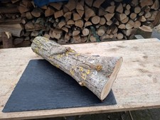 DEKO Basteln Baumstamm Holz