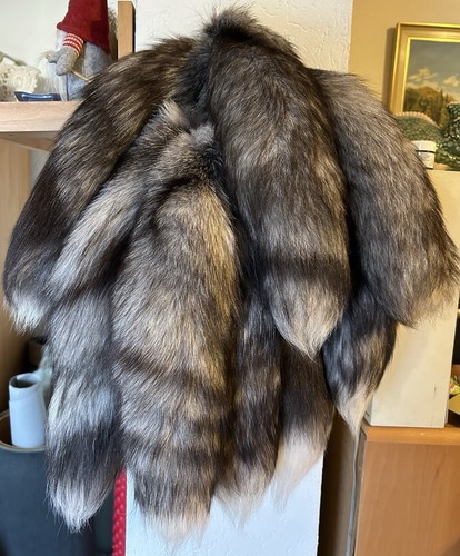 Konvolut silberfuchs - 14,