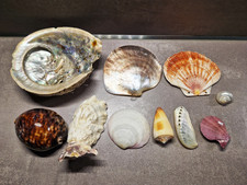 💥💎 Konvolut große