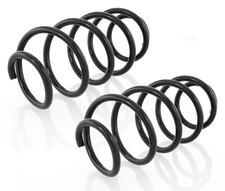 2 Federn Vorne für VW Passat