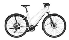 E-Bike Riese & Müller UBN