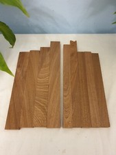 🍁Sapele Mahagoni Ableger