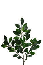 künstlicher Ficus