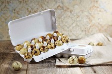 Delikatess Wachteleier