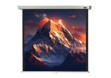 celexon Leinwand Rollo