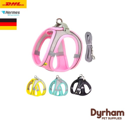 Katzengeschirr und