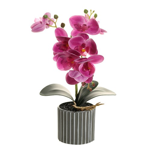 Künstliche orchidee topf - orchidee, im