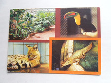 AK Falkenstein Vogtland