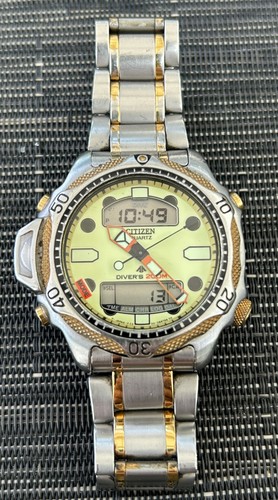 citizen promaster