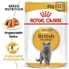 Royal canin british shorthair - british,