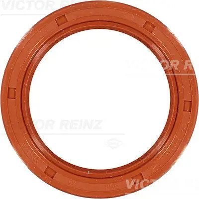 O-Ring für