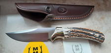 Muela setter jagd - setter,