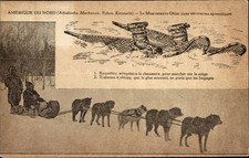 Ak Nordamerika, Hundeschlitten, Arbeitshunde - 3976130