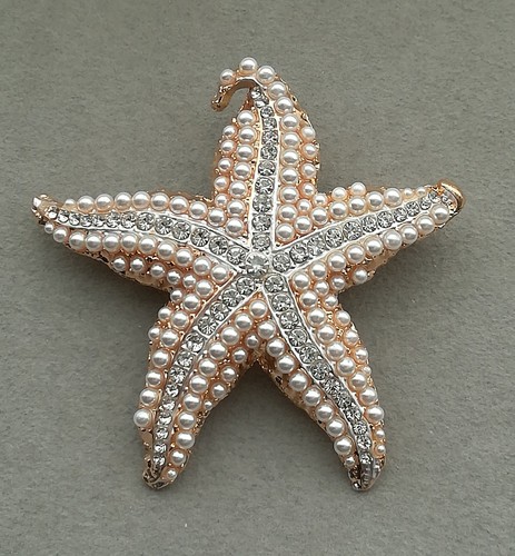 Seestern brosche gold - brosche,