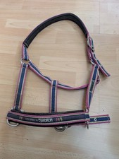 Eskadron Halfter Classic Sports Lime Green Plum Fuchsia – WB / Full