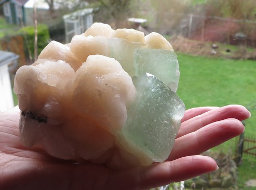 Fluorapophyllit würfel auf - würfel,