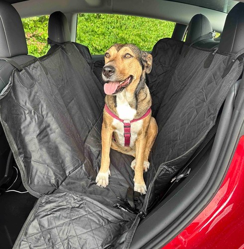 Hunde sitzbezug für - hunde,