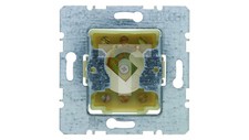 Berker Arsys Schlüsselschalter 10A 250V für Patent-Schließzylindermech 