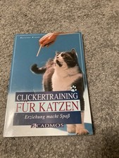 Clickertraining für Katzen Erziehung macht Spaß