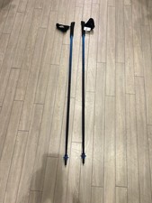 Viking Nordic Walking Stöcke