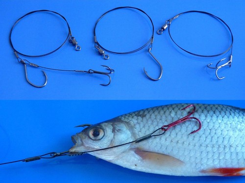 Raubfischsystem - 3x,