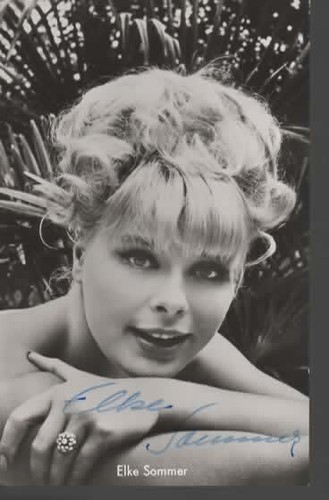 Elke sommer fotografie auf - elke,
