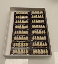 16 Zahngarnituren A1 T6 Merz