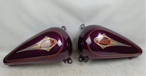 Harley davidson evo - harley,