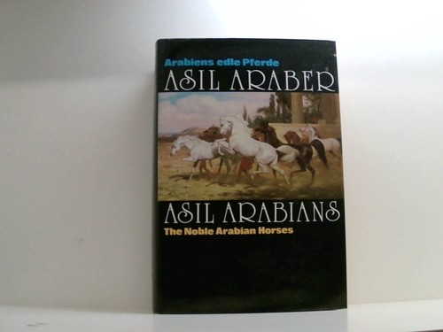 Asil araber arabians - asil,