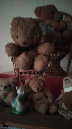 teddy sammlung
