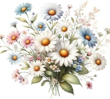 Aquarell Gänseblümchen Blume