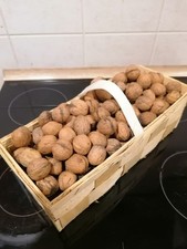 sächsische Walnüsse Ernte 2025 Walnuss  unbehandelt naturbelassen Bio mit Schale