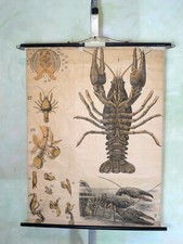 Vintage Deko   antik