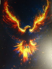 PHÖNIX Retro Blechschild 30 x