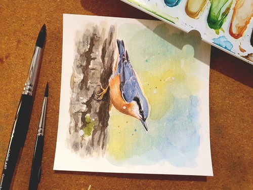 Aquarell kleiber handgemaltes - aquarell, kleiber,