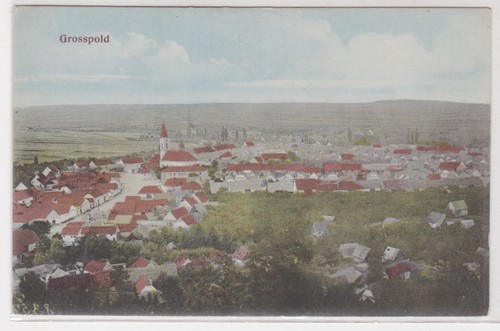 909572 grosspold - grosspold,