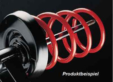 Irmscher Tieferlegungsfedern