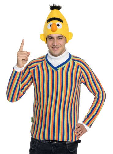 Sesamstraße bert pullover - –,