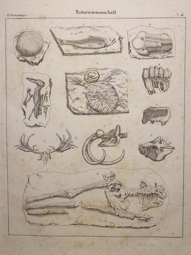 Antiquarische lithographie - antiquarische,