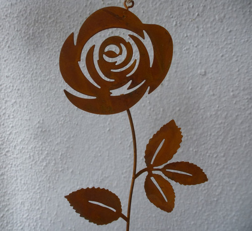Rose lang edel rost - edel,