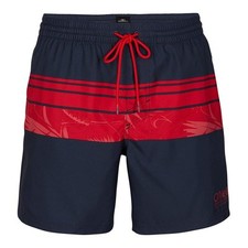 O'Neill Herren Badeshorts Aqua