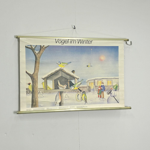 Vintage schulkarte vögel - vögel, im