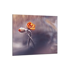 Küchenrückwand Glas 65x60