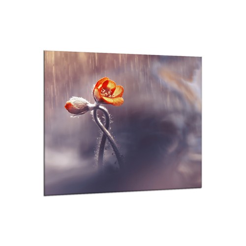 Küchenrückwand glas 65x60 - küchenrückwand,
