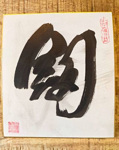 Bujinkan masaaki hatsumi - masaaki,