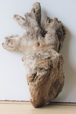 Treibholz Schwemmholz