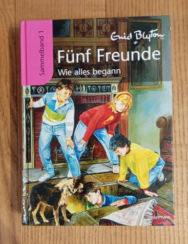 Fünf freunde wie alles - -,