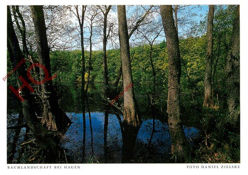 Ansichtskarte>>Rugen/Hiddensee