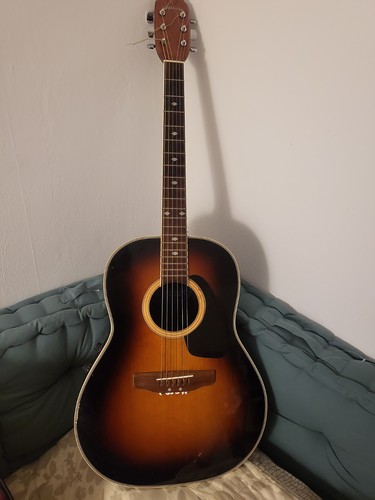 Applause akustik gitarre - ,