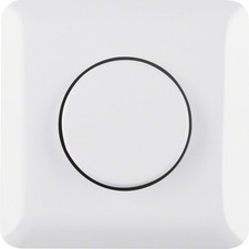 Berker UP-Wipptaster pws